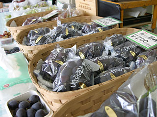 都会を抜け出し、2000坪の大ぶどう園でひとときを!