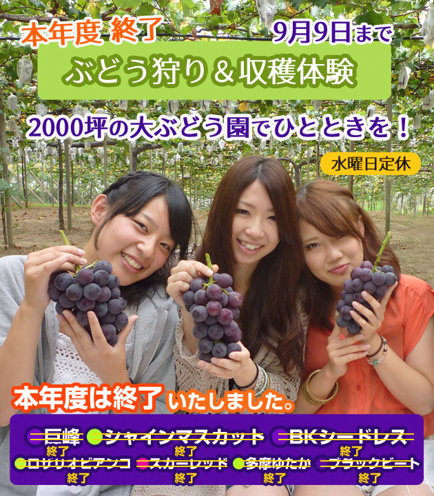 ぶどう狩り・収穫体験