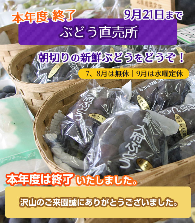 ぶどう直売所